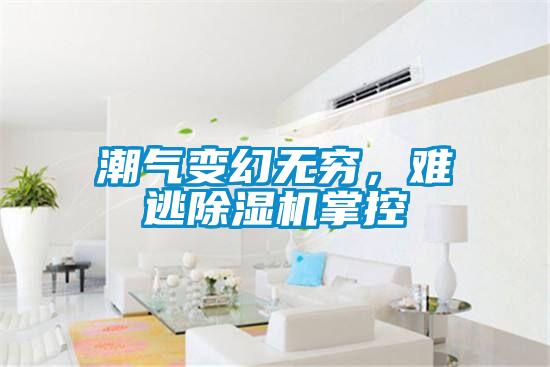 潮氣變幻無窮，難逃除濕機掌控