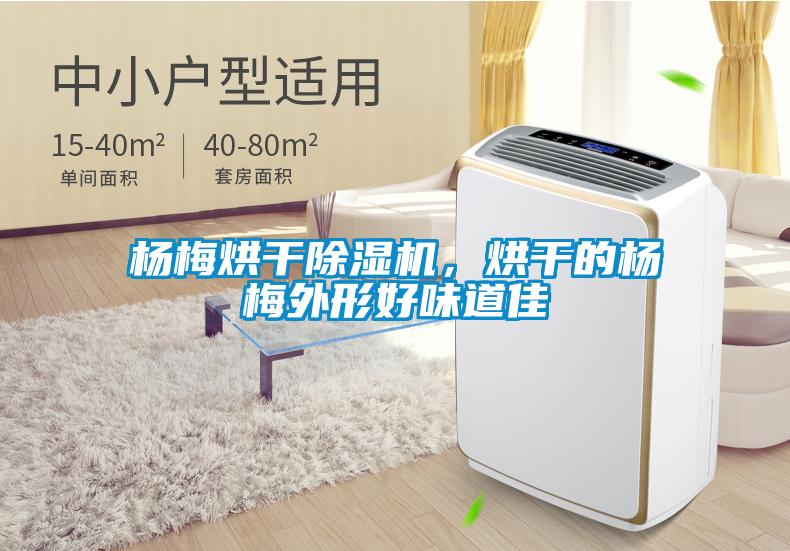 楊梅烘干除濕機(jī)，烘干的楊梅外形好味道佳