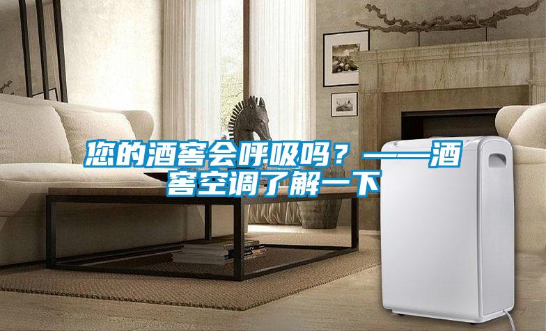 您的酒窖會呼吸嗎？——酒窖空調了解一下