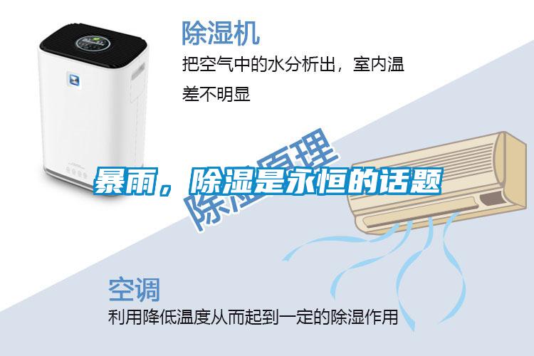 暴雨，除濕是永恒的話題