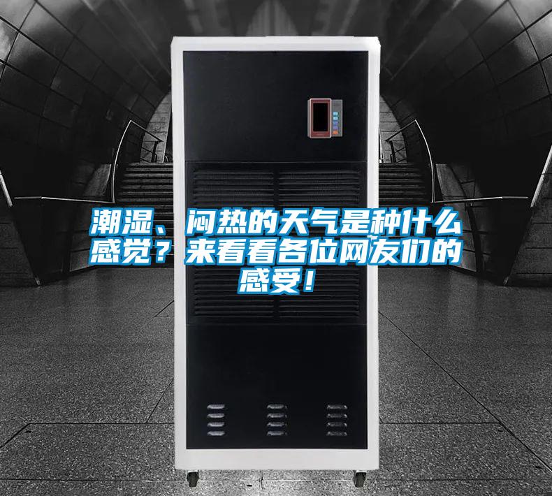 潮濕、悶熱的天氣是種什么感覺？來看看各位網(wǎng)友們的感受！