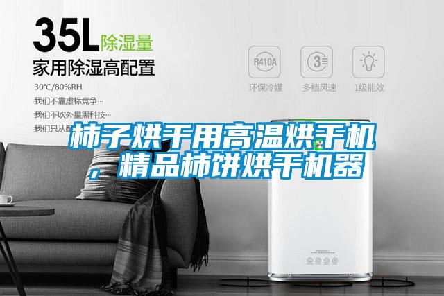 柿子烘干用高溫烘干機，精品柿餅烘干機器