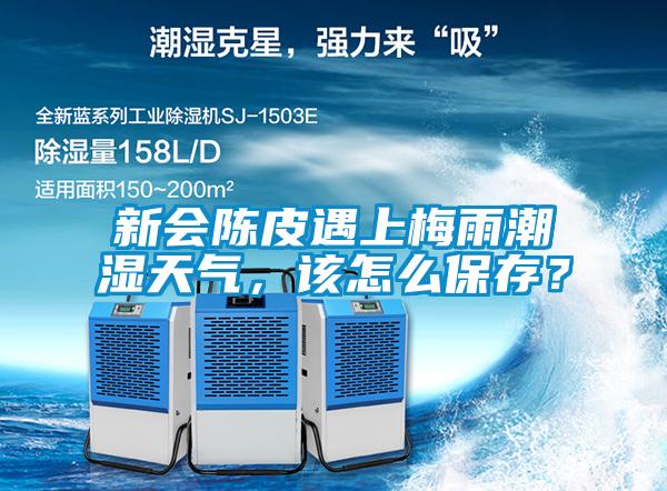 新會陳皮遇上梅雨潮濕天氣，該怎么保存？