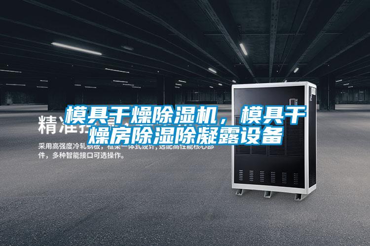 模具干燥除濕機，模具干燥房除濕除凝露設備