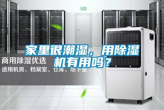 家里很潮濕，用除濕機(jī)有用嗎？