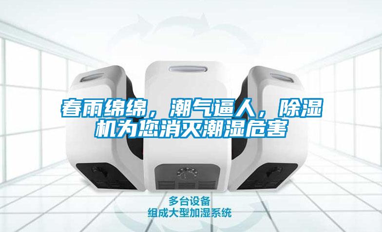 春雨綿綿，潮氣逼人，除濕機為您消滅潮濕危害
