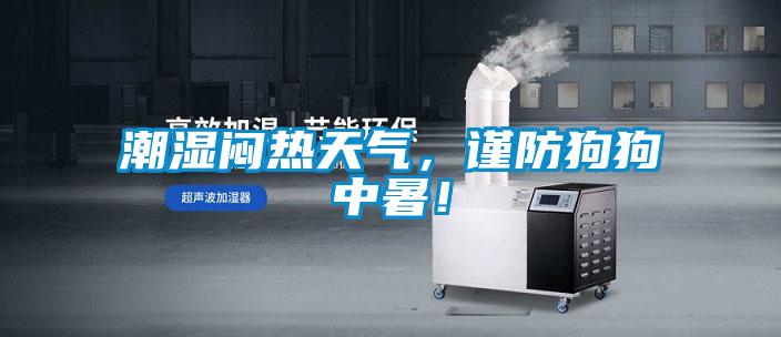 潮濕悶熱天氣，謹(jǐn)防狗狗中暑！