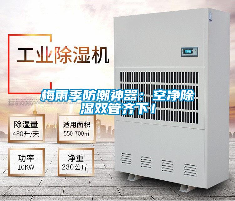 梅雨季防潮神器：空凈除濕雙管齊下！