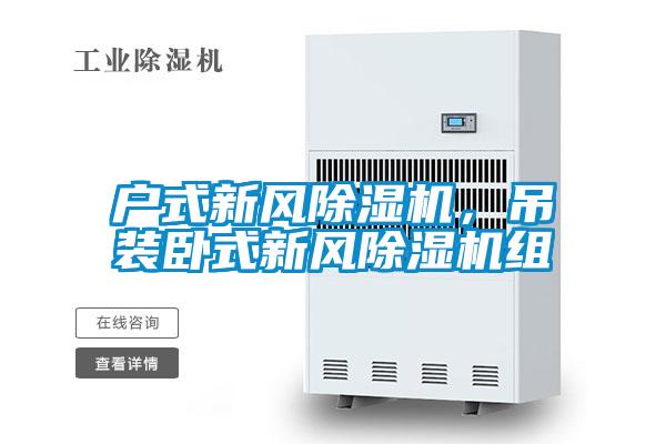 戶式新風(fēng)除濕機,吊裝臥式新風(fēng)除濕機組