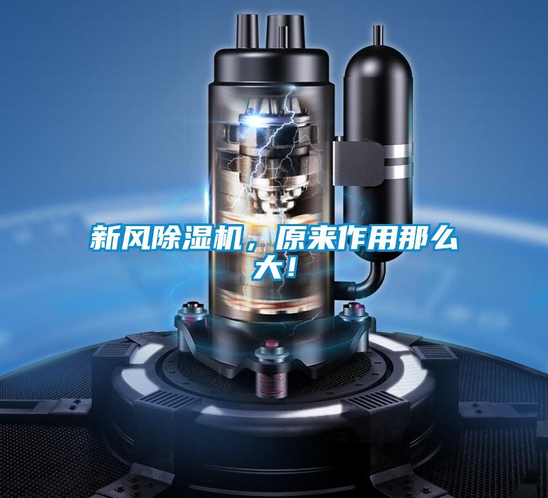 新風(fēng)除濕機(jī)，原來(lái)作用那么大！