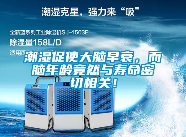 潮濕促使大腦早衰，而腦年齡竟然與壽命密切相關(guān)！