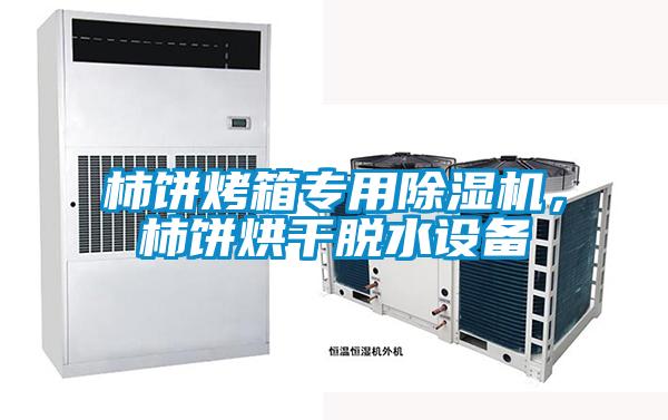 柿餅烤箱專用除濕機(jī)，柿餅烘干脫水設(shè)備
