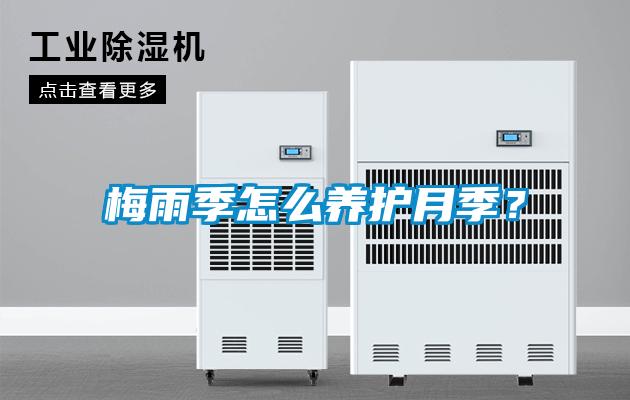 梅雨季怎么養(yǎng)護(hù)月季？