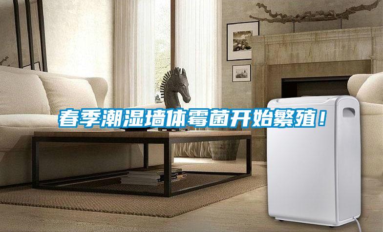 春季潮濕墻體霉菌開(kāi)始繁殖！