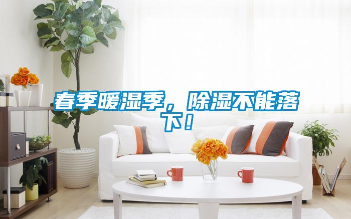 春季暖濕季，除濕不能落下！