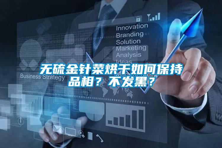 無硫金針菜烘干如何保持品相？不發(fā)黑？