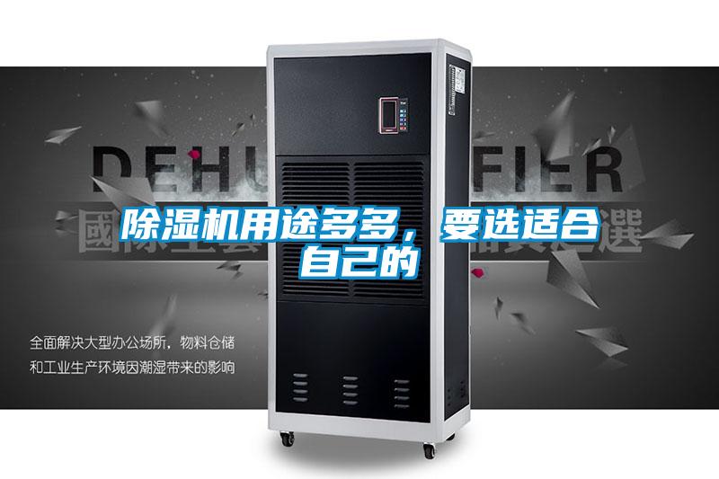 除濕機用途多多，要選適合自己的
