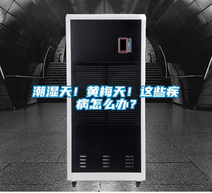 潮濕天！黃梅天！這些疾病怎么辦？