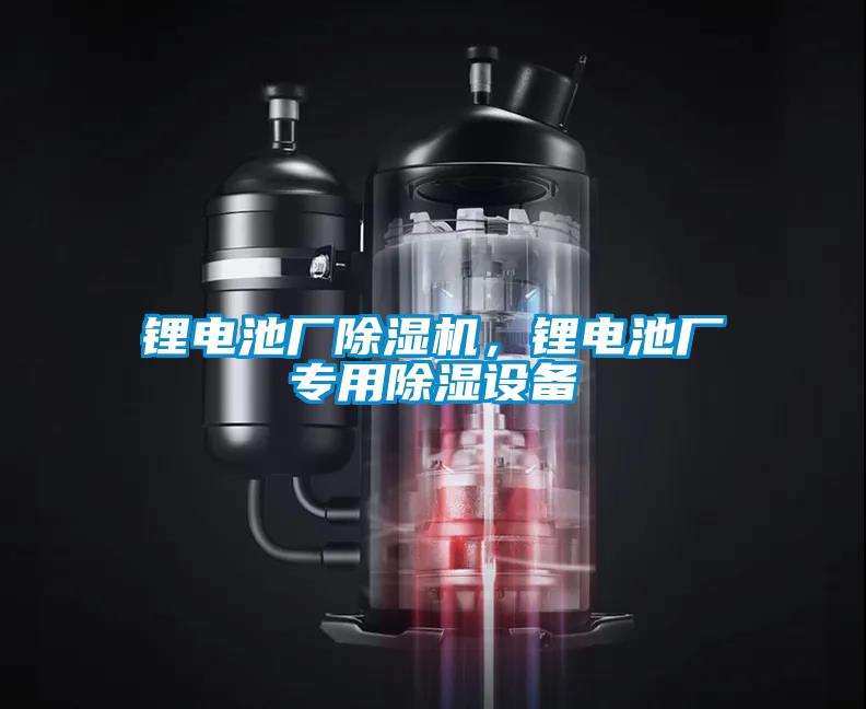 鋰電池廠除濕機，鋰電池廠專用除濕設(shè)備