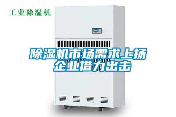 除濕機市場需求上揚 企業(yè)借力出擊