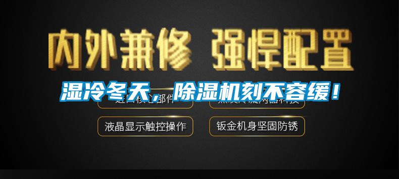 濕冷冬天，除濕機刻不容緩！