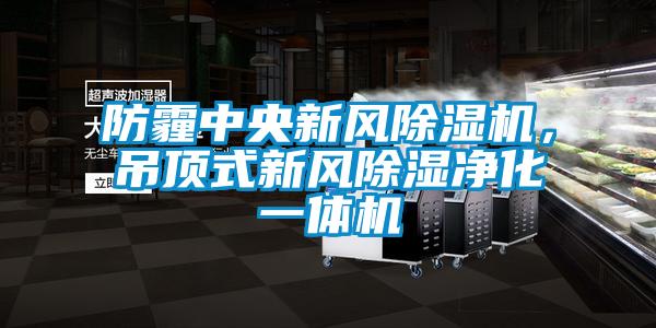 防霾中央新風(fēng)除濕機(jī)，吊頂式新風(fēng)除濕凈化一體機(jī)