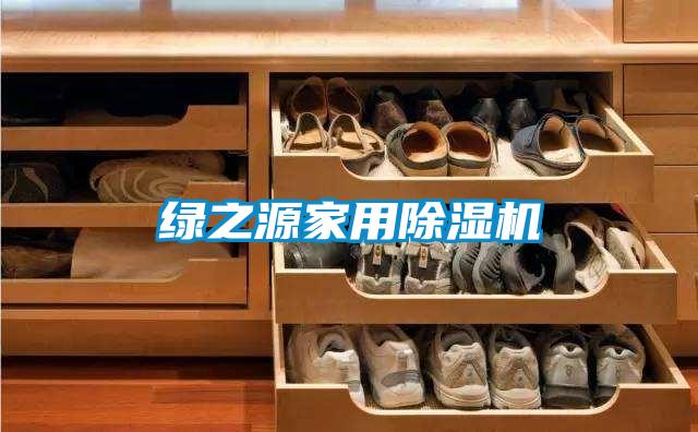 綠之源家用除濕機(jī)