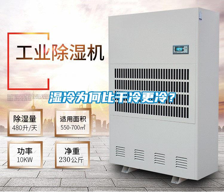 濕冷為何比干冷更冷？