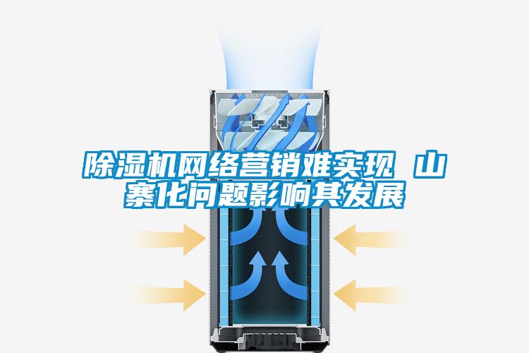 除濕機(jī)網(wǎng)絡(luò)營(yíng)銷難實(shí)現(xiàn) 山寨化問題影響其發(fā)展