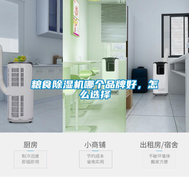 糧食除濕機(jī)哪個(gè)品牌好,怎么選擇