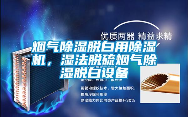 煙氣除濕脫白用除濕機,濕法脫硫煙氣除濕脫白設(shè)備