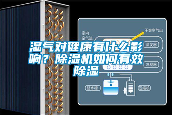 濕氣對健康有什么影響？除濕機(jī)如何有效除濕