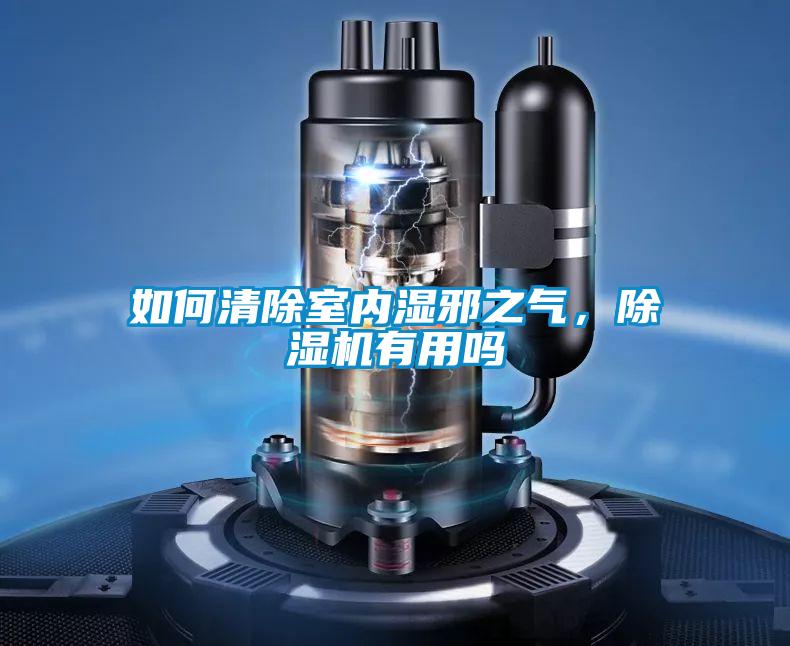 如何清除室內(nèi)濕邪之氣，除濕機(jī)有用嗎