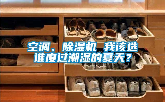 空調(diào)、除濕機(jī) 我該選誰度過潮濕的夏天？