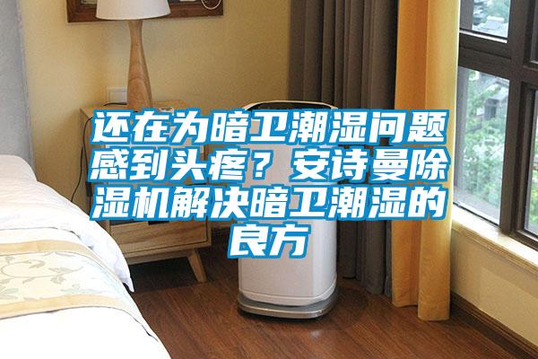 還在為暗衛(wèi)潮濕問題感到頭疼？安詩曼除濕機(jī)解決暗衛(wèi)潮濕的良方