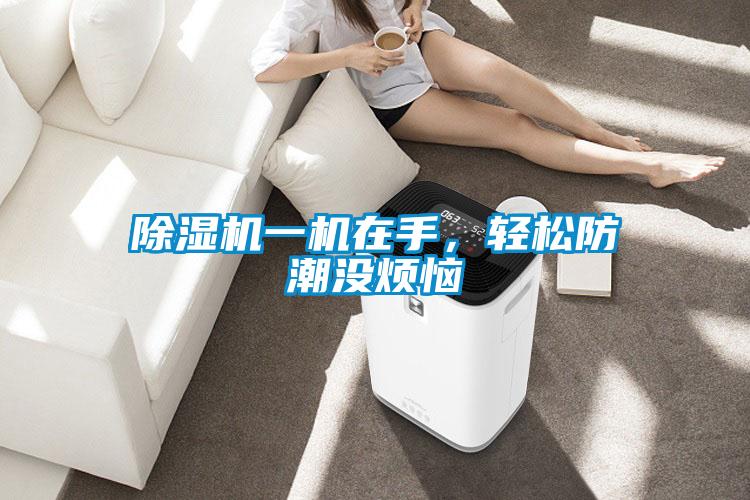 除濕機(jī)一機(jī)在手,輕松防潮沒(méi)煩惱