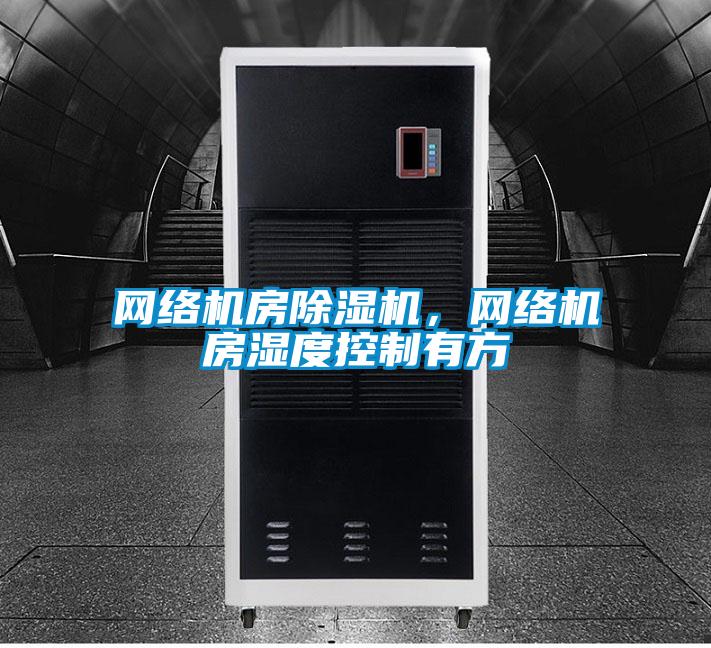 網(wǎng)絡(luò)機(jī)房除濕機(jī),網(wǎng)絡(luò)機(jī)房濕度控制有方