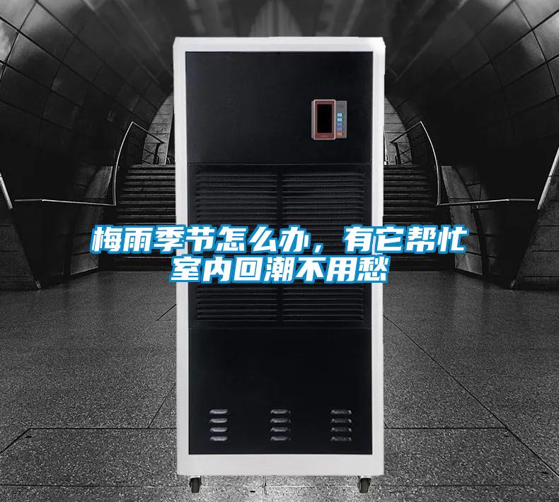 梅雨季節(jié)怎么辦，有它幫忙室內(nèi)回潮不用愁
