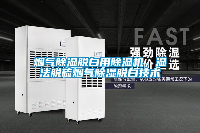 煙氣除濕脫白用除濕機，濕法脫硫煙氣除濕脫白技術(shù)