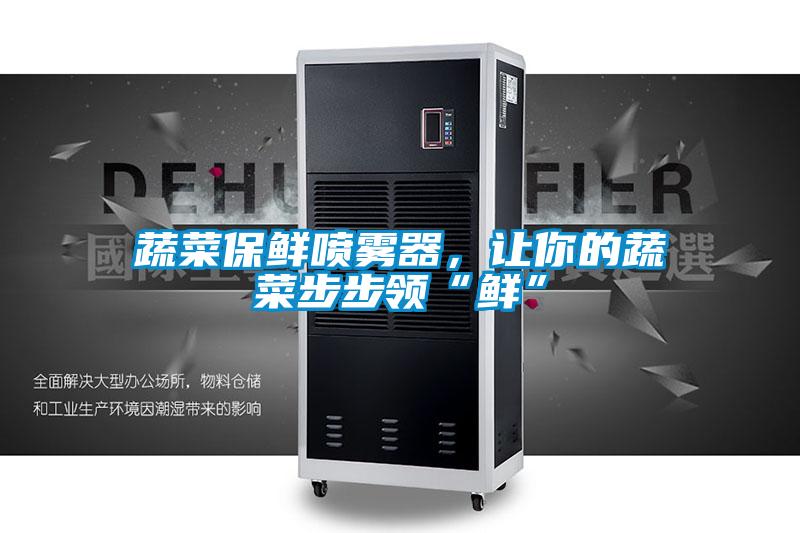 蔬菜保鮮噴霧器，讓你的蔬菜步步領“鮮”