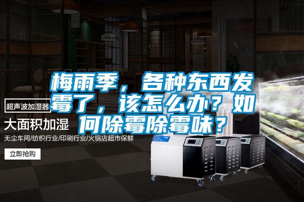 梅雨季，各種東西發(fā)霉了，該怎么辦？如何除霉除霉味？