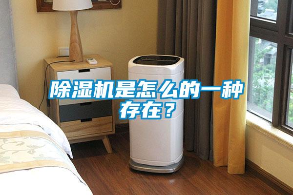 除濕機是怎么的一種存在？