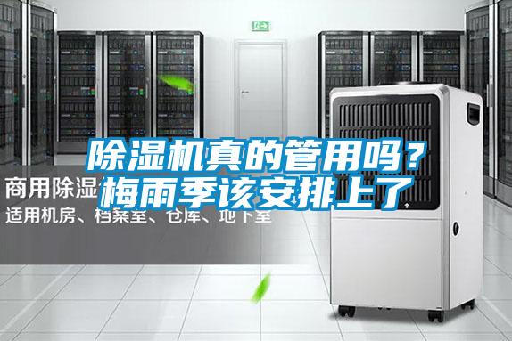 除濕機真的管用嗎？梅雨季該安排上了