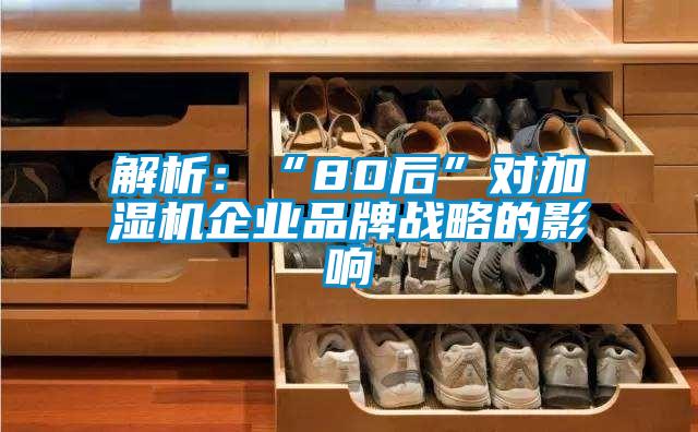 解析:“80后”對(duì)加濕機(jī)企業(yè)品牌戰(zhàn)略的影響