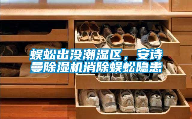 蜈蚣出沒潮濕區(qū)，安詩曼除濕機消除蜈蚣隱患