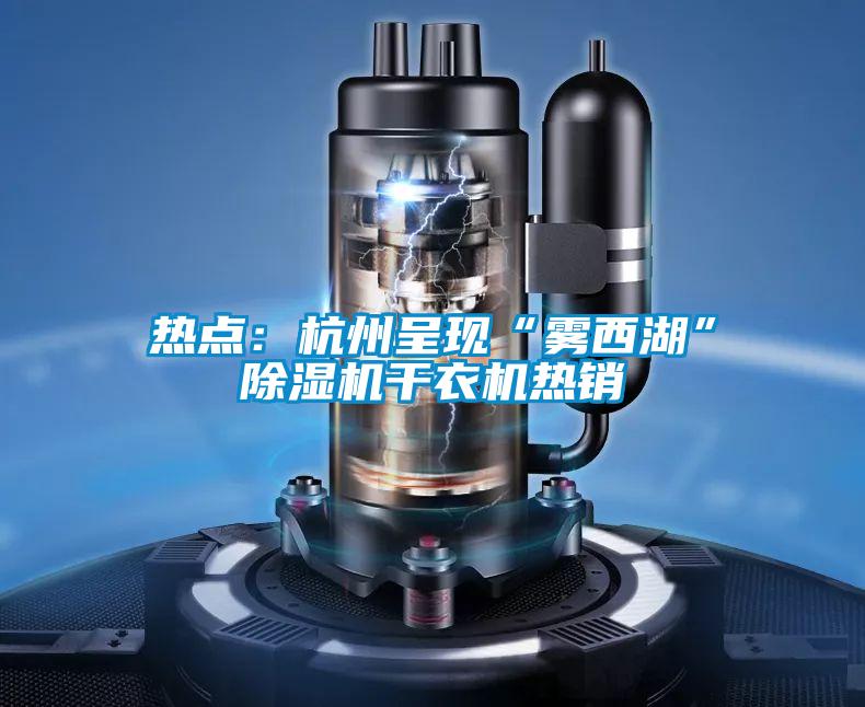 熱點:杭州呈現(xiàn)“霧西湖”除濕機干衣機熱銷