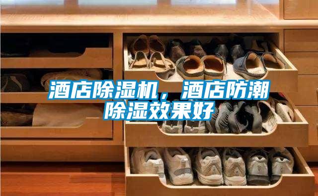 酒店除濕機(jī)，酒店防潮除濕效果好