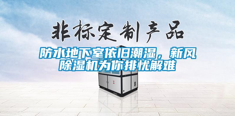 防水地下室依舊潮濕，新風除濕機為你排憂解難