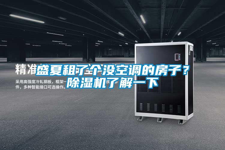 盛夏租了個(gè)沒空調(diào)的房子？除濕機(jī)了解一下