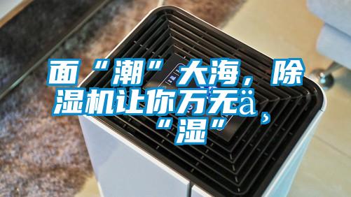 面“潮”大海，除濕機(jī)讓你萬(wàn)無一“濕”